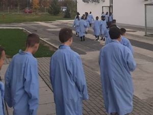 Nyílt napok a Cellcomp Kft-ben